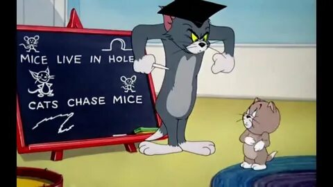 Tom and Jerry Funny Video - 31 ( tom vs jerry ) - YouTube