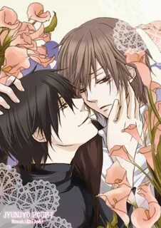 Hiroki x Nowaki Junjou Romantica Junjou romantica, Anime, Ma