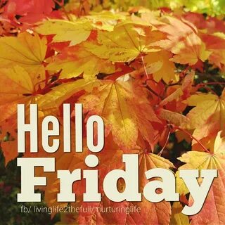 Hello Friday #friday autumn fall leaves hello friday Its fri