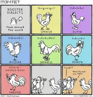 Rooster meme Fun comics, Funny comics, Language
