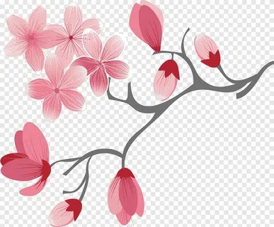 Free download Pink cherry blossom flowers, Cherry blossom, C