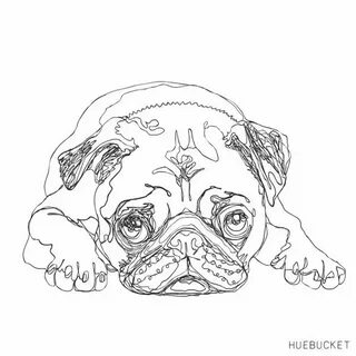 huebucket Dog line drawing, Pug art, Animals artwork