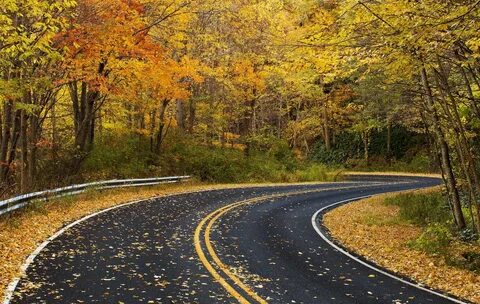Fall Road Wallpaper (71+ images)
