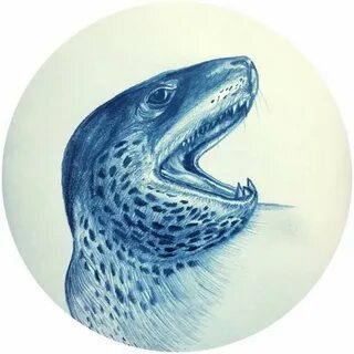 Drawing Leopard Seal by trevorp OurArtCorner