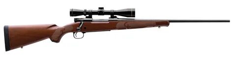 The Winchester Model 70, Pre-64 to Current Production - Revi