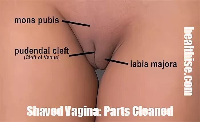 How to Shave Vagina. Does it Help to Keep it Clean ? - Healt