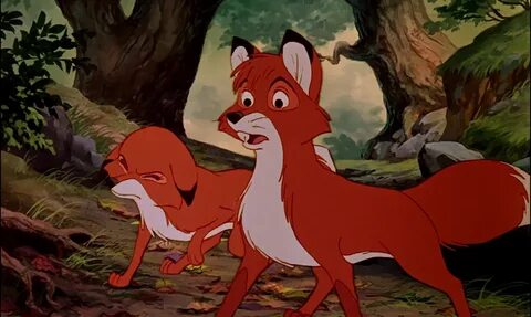 The Fox and the Hound (1981) - Disney Screencaps The fox and
