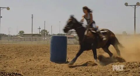 My Wayward Horse Horses, Barrel horse, Barrel racing quotes