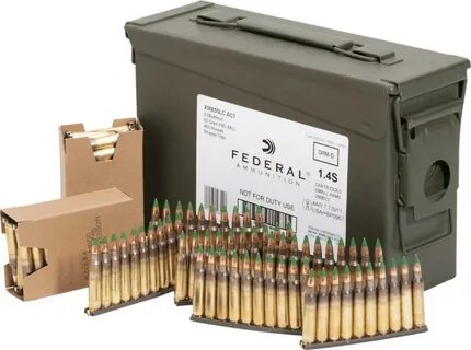 Federal 5.56 NATO 420 Rnd Ammunition with Ammo Can - $179.99