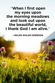 35 Best Good Morning Quotes to Help Jump-start Your Day Happ