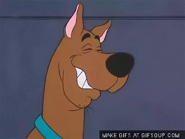 Ruh roh gif 11 " GIF Images Download