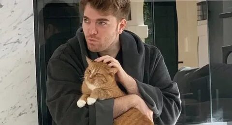 YouTube star Shane Dawson denies having sex with his cat WHO