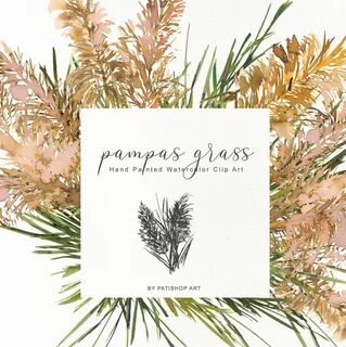 Pampas Grass Clipart Eco Backdrop Wedding Decor Rush Grass E