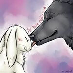 Hehe #lepus and #lupus. #Bunny + #wolf (With images) Wolf lo