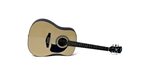 Lyon by Washburn Acoustic Guitar with Instructional DVD