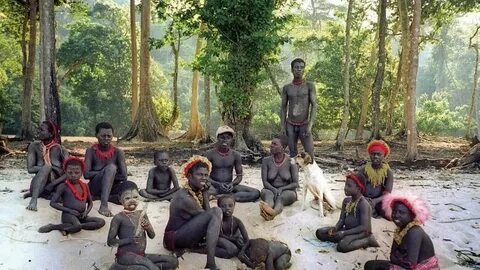 Petition - Protect the isolated tribe of Jarawa against urba