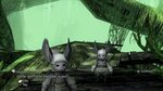 Final Fantasy XII Walkthrough: The Salikawood - Jegged.com
