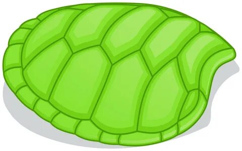 Free Images - turtle shell svg