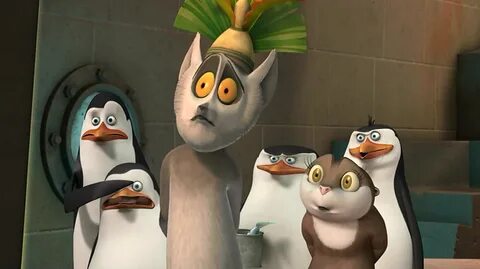 Conversation in POM Quotes. - Penguins of Madagascar - Fanpo