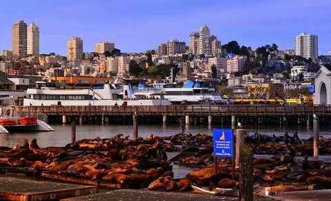 Best Photography Spots in San Francisco California - Photogr