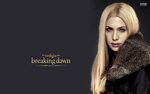 Twilight Breaking Dawn Wallpapers (68+ images)