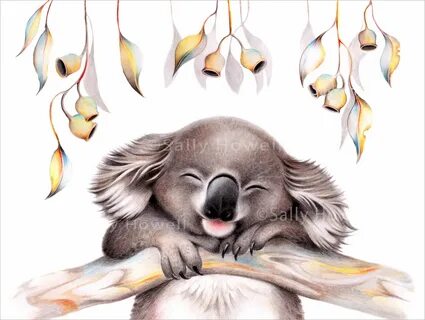 Hanging Koala Close Up - Taffy Blue