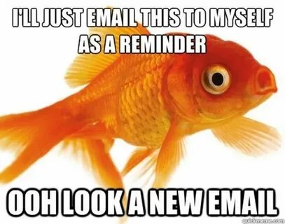 24 Hilarious Fish Memes Proving You Can Be Funny Without Eve