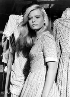 Brooke Bundy Hollywood glamour, Celebrities, Actresses