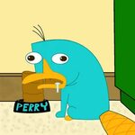 Baby Perry The Platypus Wallpapers - Wallpaper Cave