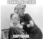 bonnie and clyde Memes & GIFs - Imgflip
