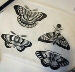 фото тату мотылек от 17.11.2017 № 034 - moth tattoos - tatto