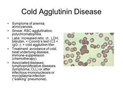 Hematology-Oncology Review Session Pete Voorhees. - ppt down