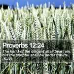 Daily Bible Verse - Proverbs 12:24 Proverbs 12:24 The hand. 