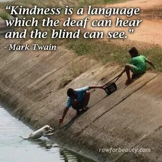 Kindness Touching photos, Cool words, Eye quotes