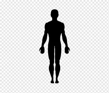 Man, Human Body, Silhouette, Anatomy, Human Body Collection,