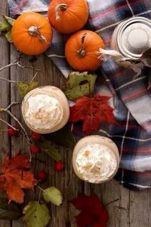 inspirationlane Pumpkin, No bake pumpkin cheesecake, Magnoli