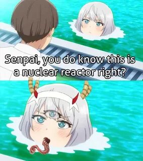 Pool is pool! /r/Animemes Senpai of the Pool Know Your Meme