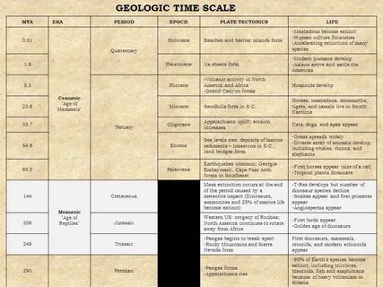 What is the Geologic Time Scale? - ppt video online download