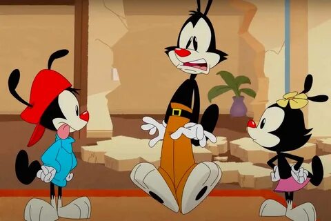 Animaniacs Uncrate