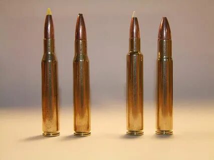 ruger 223 remington 7mm mag 243 22-250 30-06 Savage 204 ruge