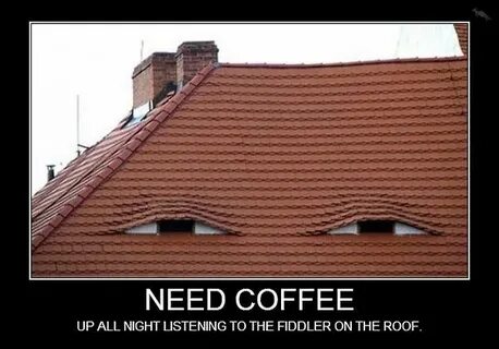 Roof Needs Coffee! - SunnyLOL