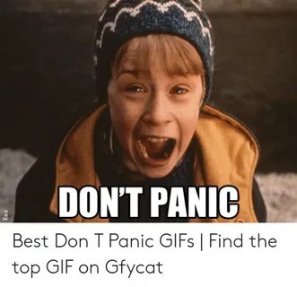 🐣 25+ Best Memes About Don T Panic Meme Don T Panic Memes