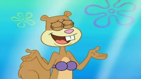 Sandy Cheeks Wallpapers posted by Zoey Tremblay