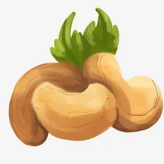 Nut Cashew Cartoon Illustration, Cashew Nuts, Nuts, Snacks P