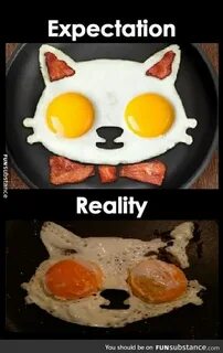 Expectation vs Reality - FunSubstance