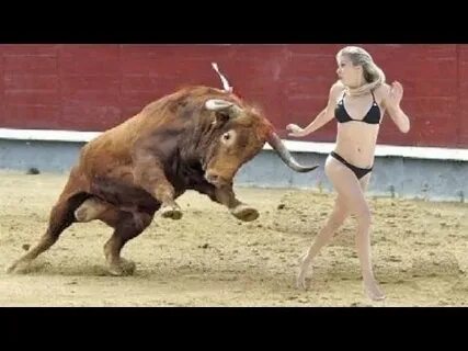 BullFighting Festival in Spain P2 Video or, most quality Bes
