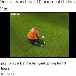 Pig from back at the barnyard golfing for 10 hours The barny