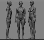 Female anatomy study - ZBrushCentral
