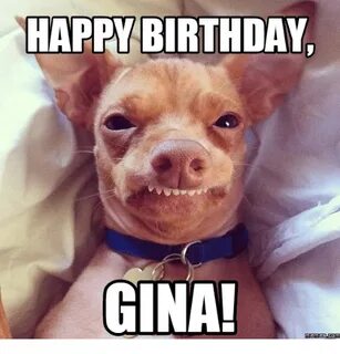 gina meme 25+ Best Memes About Chihuahua Birthday Meme Chihu