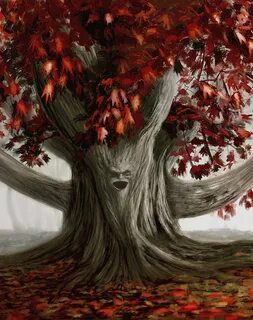 Weirwood tree Game of thrones tree, Game of thrones art, Hea